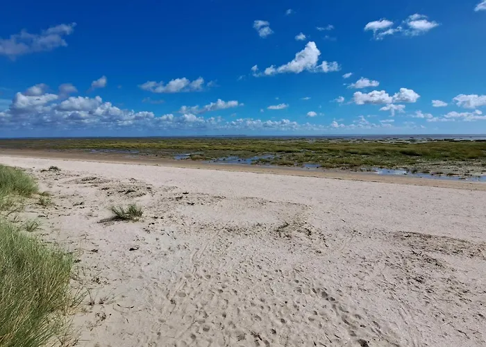 6 Person In * Fanø
